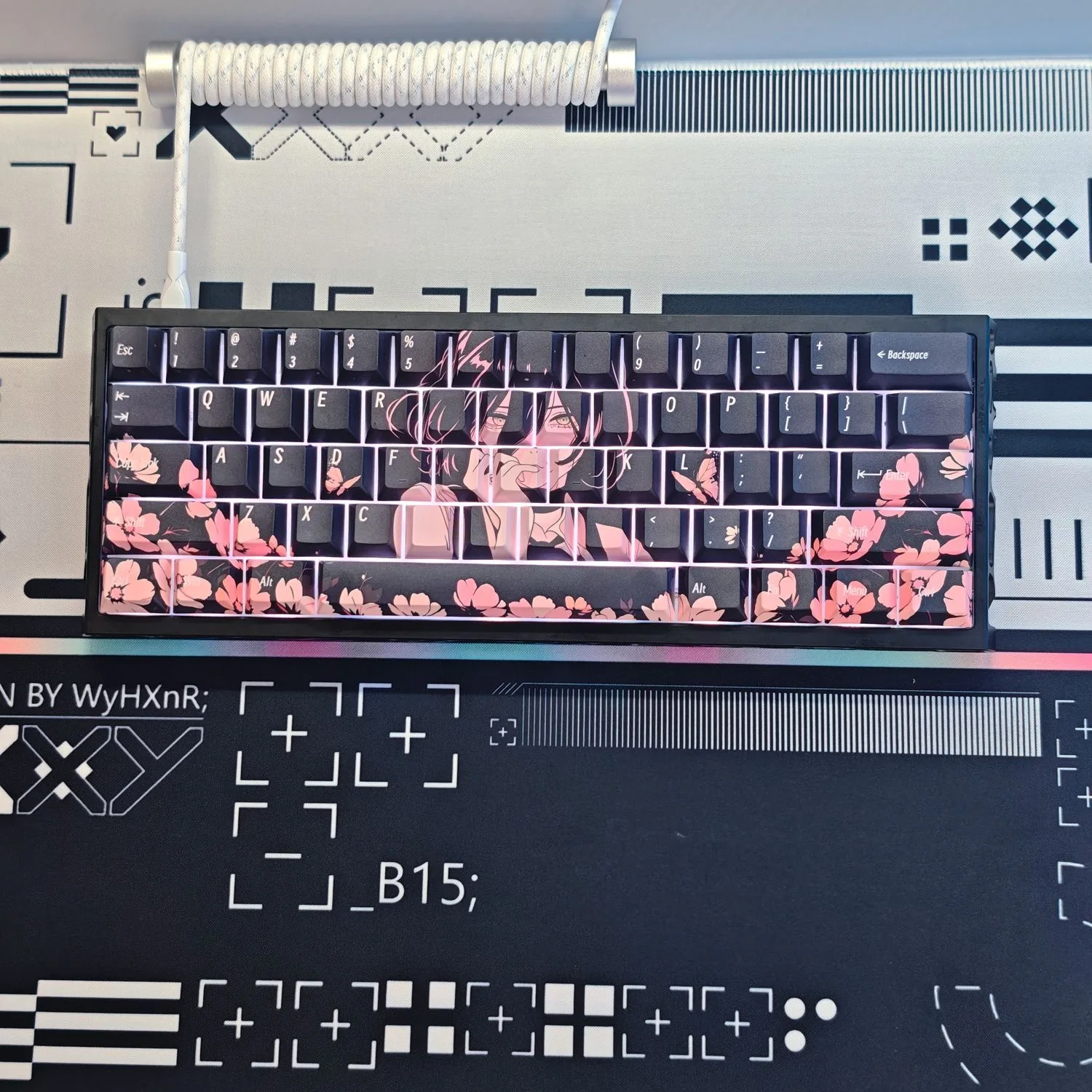 dsc-products