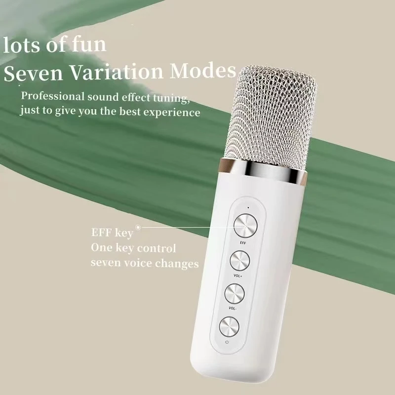 360° Karaoke Speaker with 2 Wireless Mics Colorful Party Lights Portable Bluetooth Machine for Home Family Singing