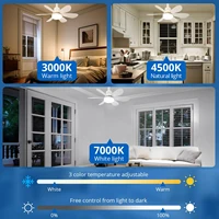IRALAN Modern ceiling led light fan 52CM 42CM silent with remote control ceiling fan lamp for room office study kitchen 2