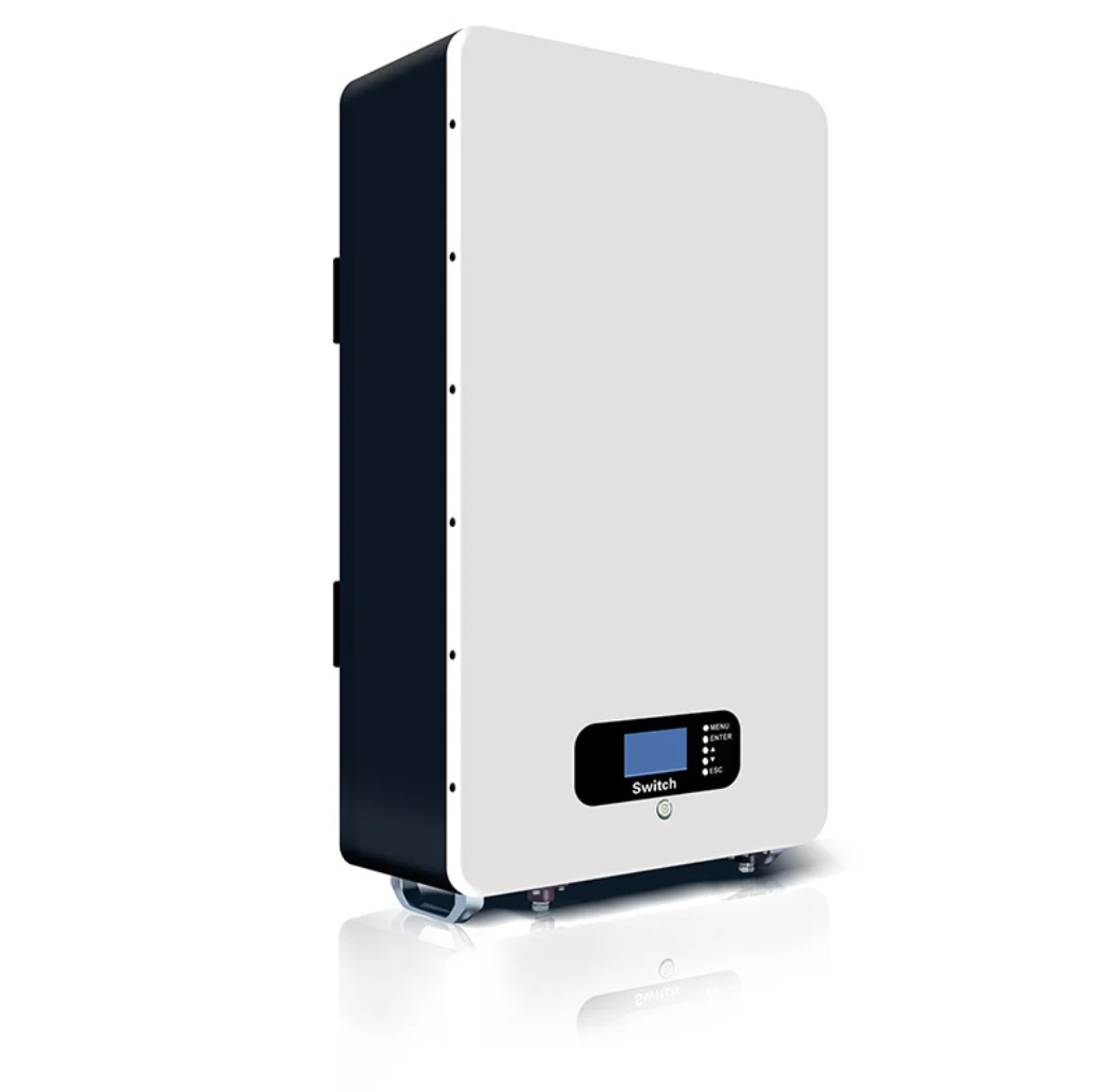 

Wall mounted 5kwh 10KWh lithium iron phosphate battery Solar energy storage battery 51.2V Custom lithium ion battery