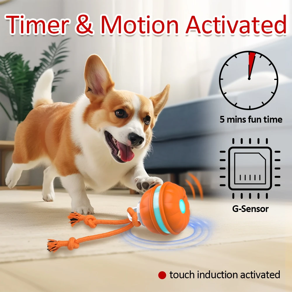 Automatic Active Rolling Ball for Dogs LED Lights USB Rechargeable  Interactive Dog Toys for Puppy Small Medium Dogs - AliExpress