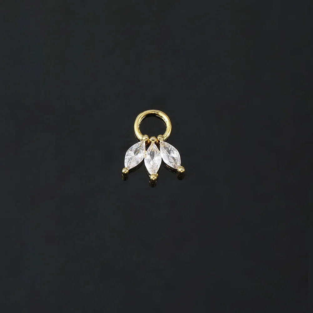 1pc Dangle Earrings For Women Zircon Crown Pendant Silver Color Stainless Steel Hoops Ear Cartilage Rook Piercing Jewelry CC193 6
