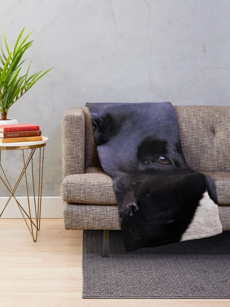 ���� ��ħ ��� �� ��� ������, �Ƹ��ٿ� ���