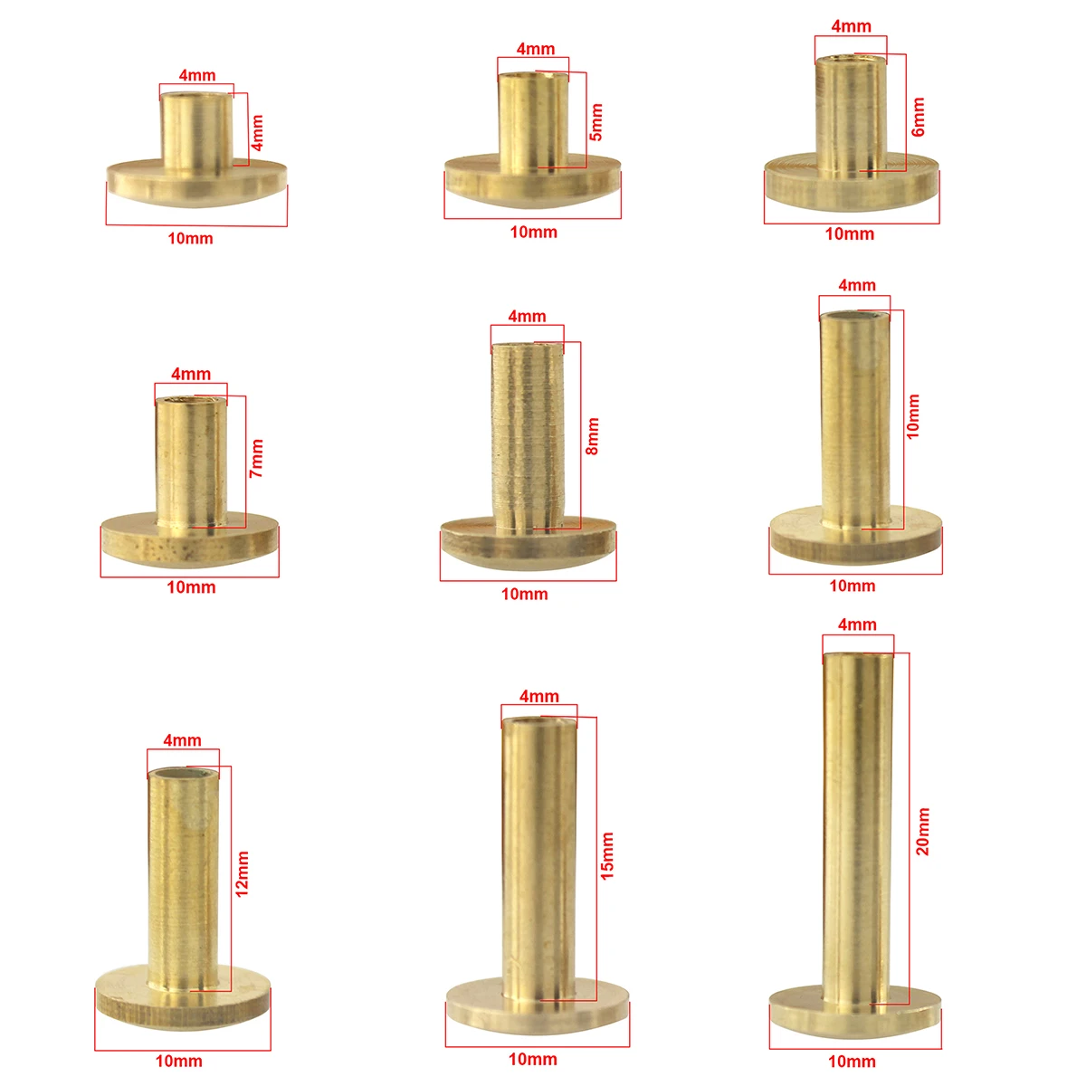 10 Qualitäts Gürtelschraube, Buchschraube 8 Mm Schraubniete Gold 642410868 7695