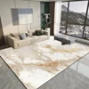 Living Room Decoration Marble Carpets Modern Light Luxury Large Rugs Hall Sofa Area Soft Floor Mat Room Doorway Hallway Carpet 1
