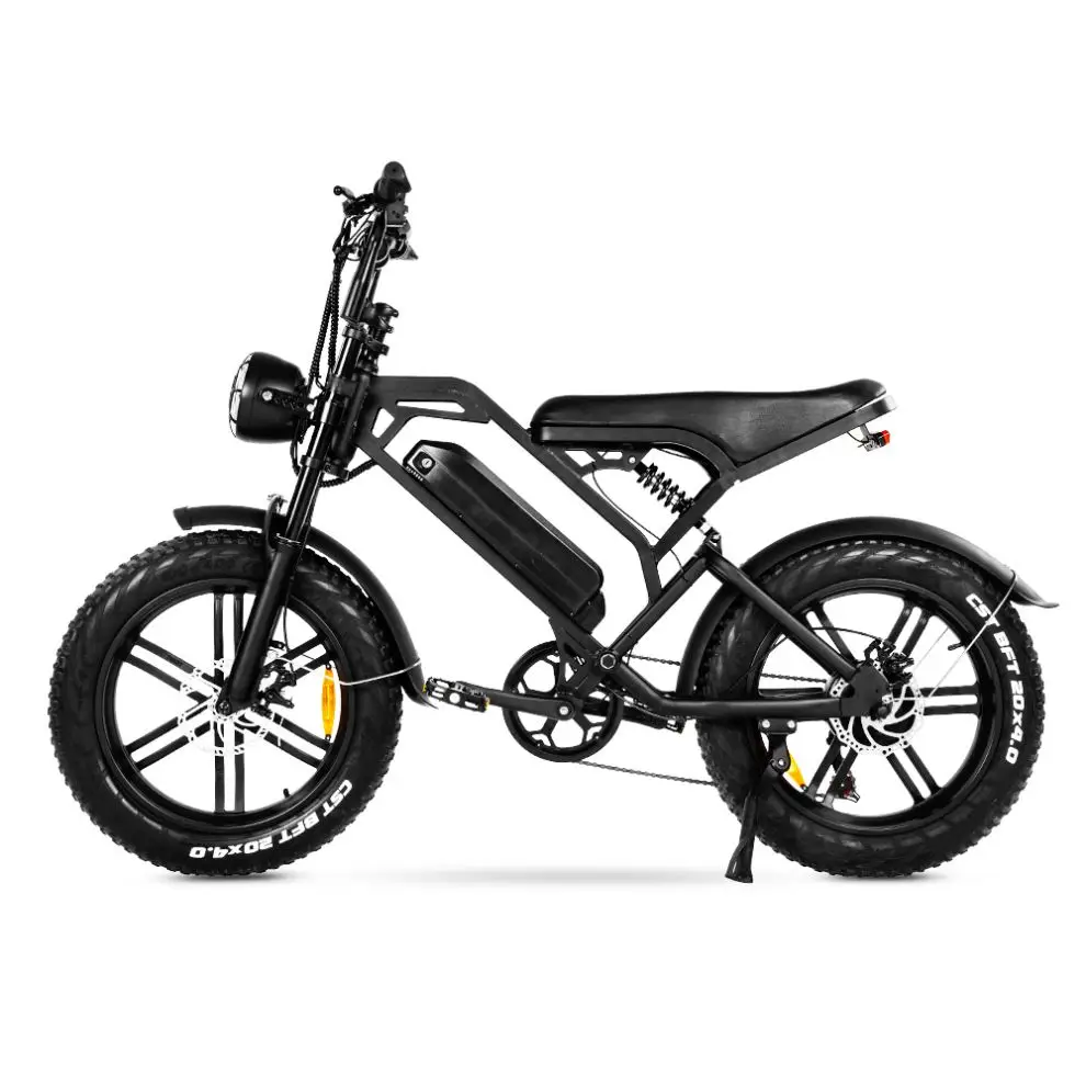 Buy Fasticycle Mountain Fatbike Fat Tire Ebike Eu Cheap 20inch Steel Lithium Battery LCD Displaycustom