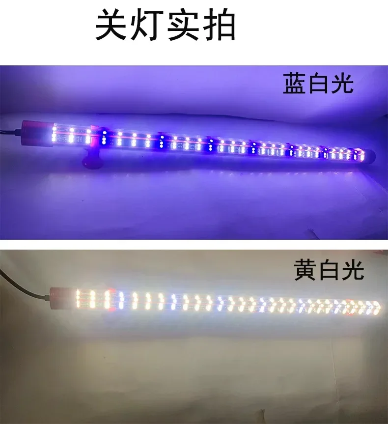 Koi light 5D Arowana special color magic light 240 degrees