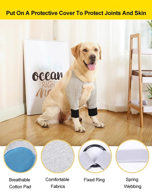  Cosiki Dog Elbow Brace Protector, Spring Webbing Dog Recovery  Front Legs Sleeve Soft Comfortable Polyester for Pet for Arthritis (S) :  寵物用品