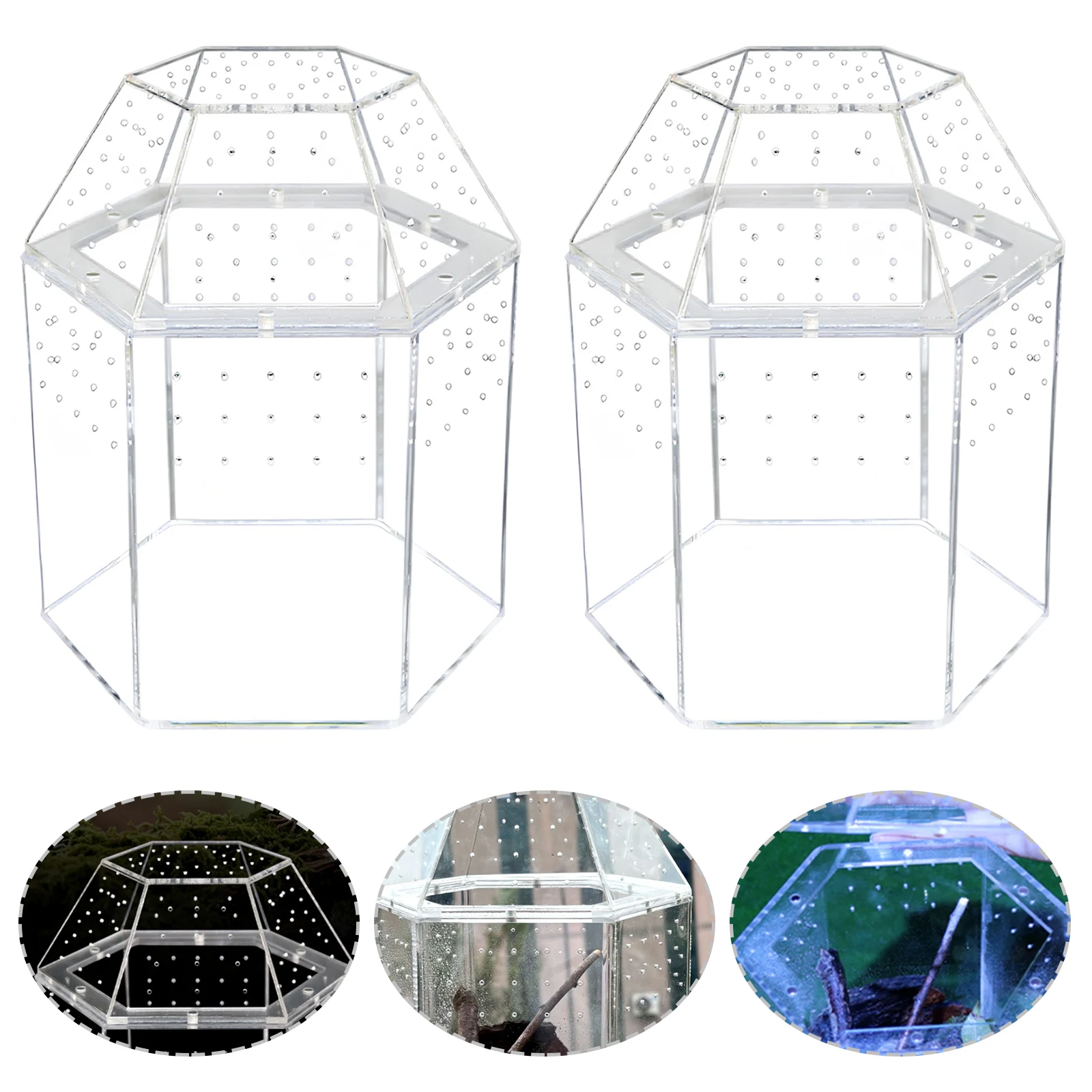 Terrarium Habitat Acrylic Bug Terrarium Full Transparency Mini Tarantula Enclosure All-Side Ventilation for Frog Crickets Snails