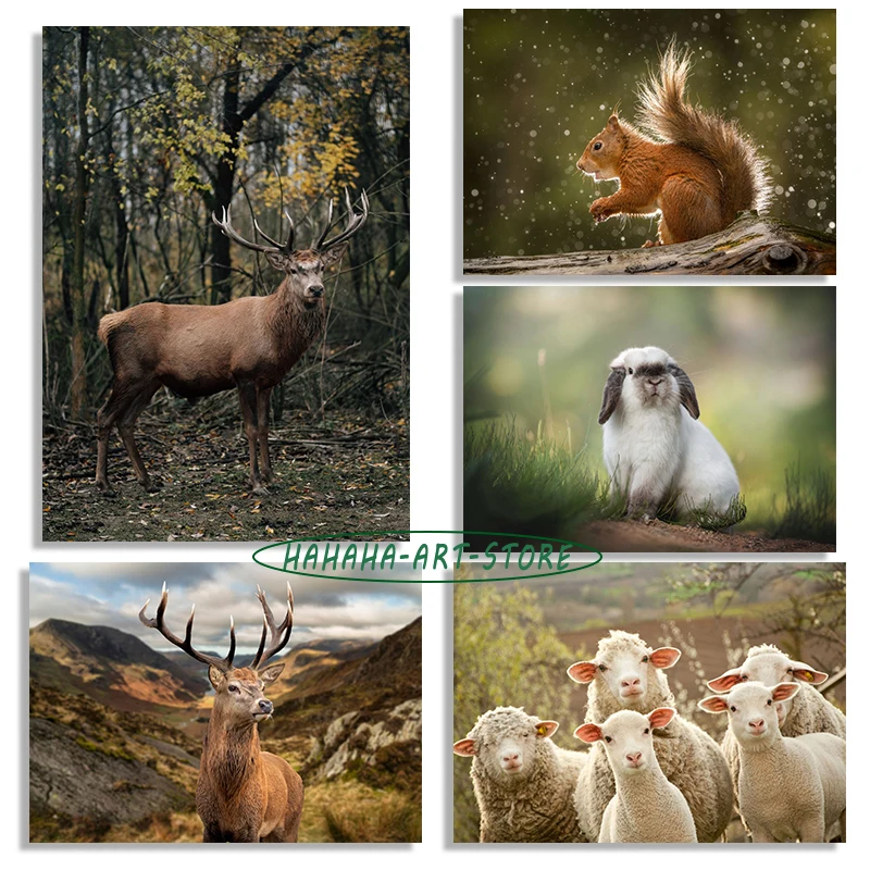 Wildlife-Photography-Animals-Deer-Fox-Poster-Canvas-Printing-Wild ...
