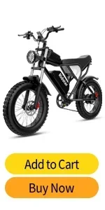 fat tire electric bike