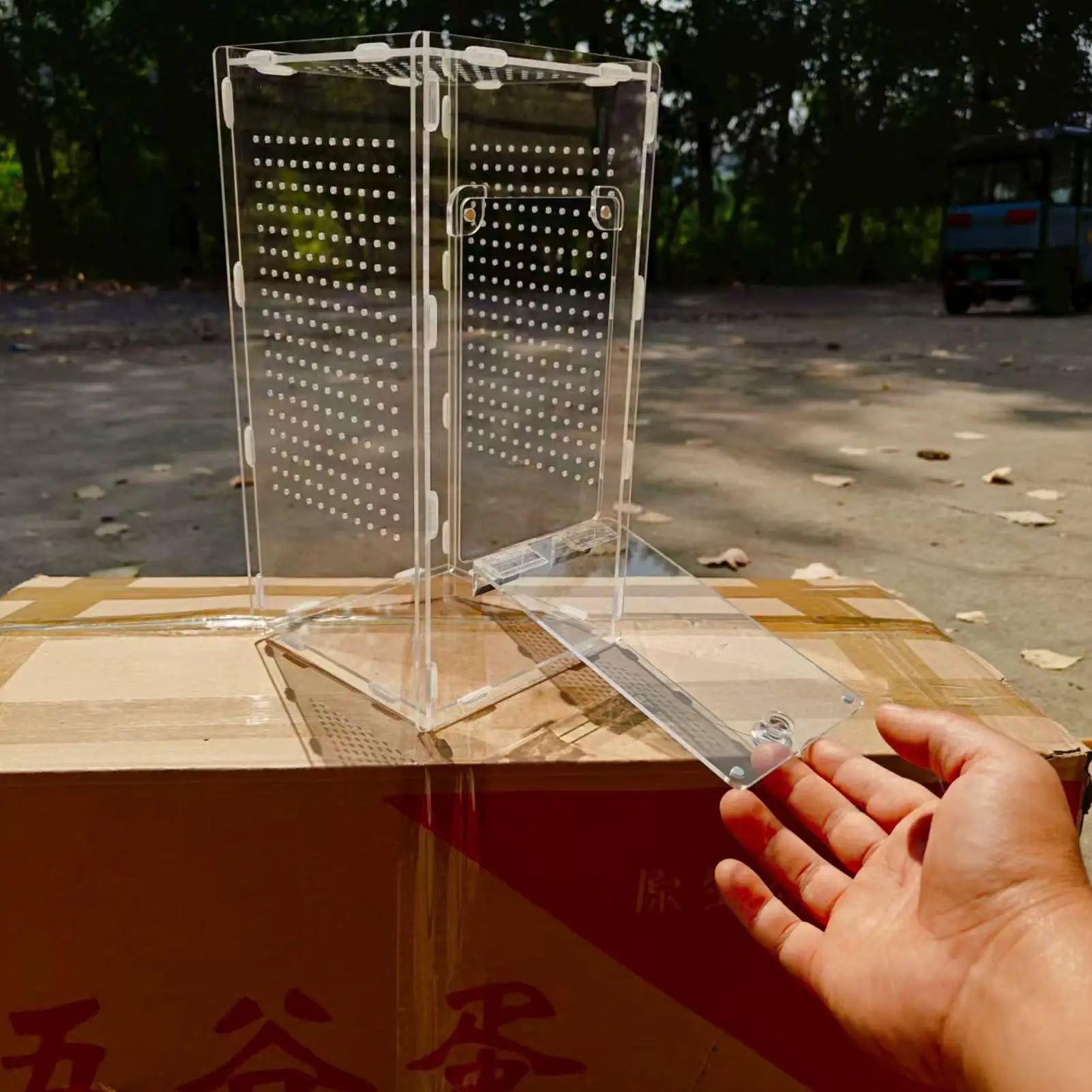 Spider Terrarium Cage 4