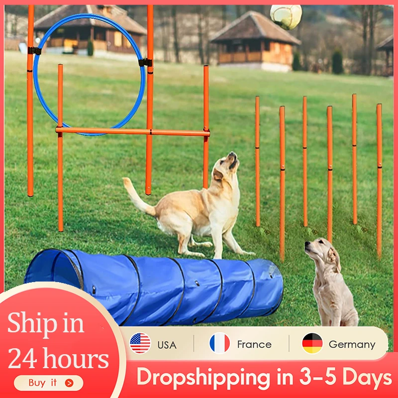 How Big Is A Dog Agility Ring