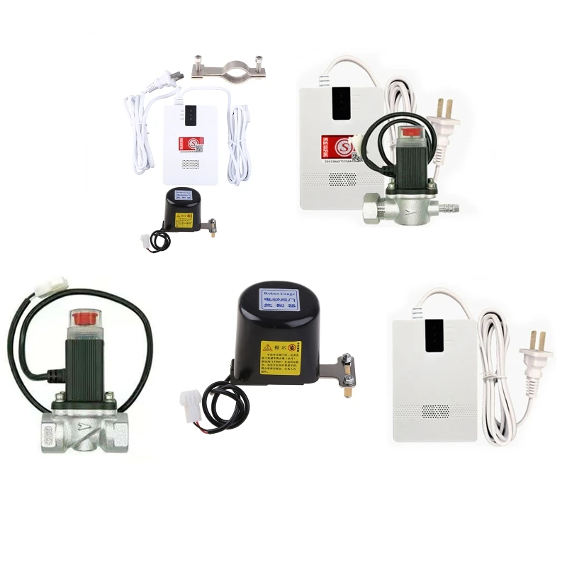 Combustible Gas Alarm Valve Cut Off Gas Leaking Coal Natural Lpg Gas Leak Detector Dn15 Kitchen
