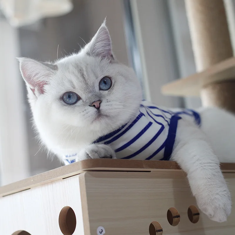 여름 고양이 강아지 옷 클래식 스트라이프 애완동물 민소매 조끼 소형견 고양이 새끼 고양이 풀오버 의류