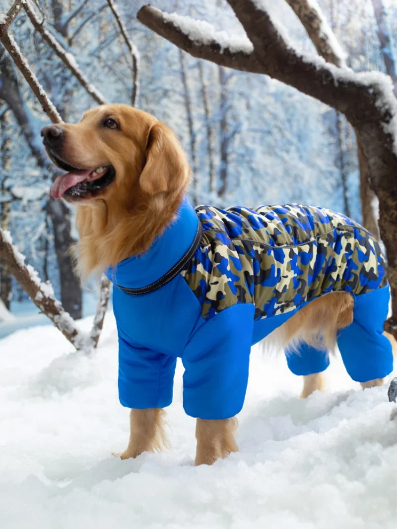 

Dog Cotton Clothes Large and Medium-sized Alaska Samor Labrador Autumn and Winter Pet Plus Velvet Thick Four-legged Warm Clothes