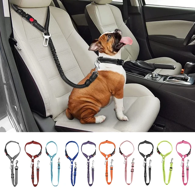 Correa ajustable para perros y gatos, arnés para cinturón de seguridad de  coche, Collar de tracción de plomo, suministros para mascotas - AliExpress