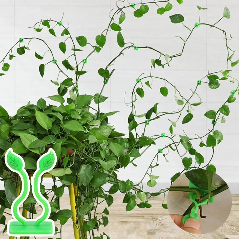 

Plant Support Clips Sturdy Green Plant Clips for Climbing Vines Reliable Wall Fixture Support for Plant Climbers 100pcs Palmetto