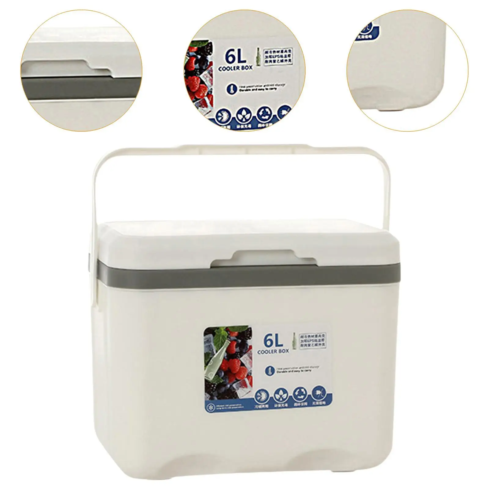 Cooler Box 6L Cold Storage Personal Portable with Handle Insulated Box Ice Chest Small for Stall Beach Camping Commercial Food