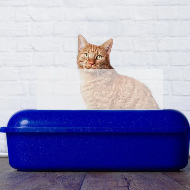 4Pcs Cat Litter Box Shield Clear Protective Scatter Guard Splash Urine Barrier Pet Litter Box Enclosure Accessories 5