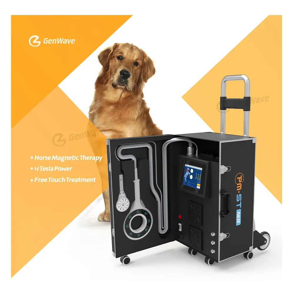 Efficace Pemf Equine Magnetic Therapy Pmst Vet Per Macchina Per Fisioterapia A Cavallo