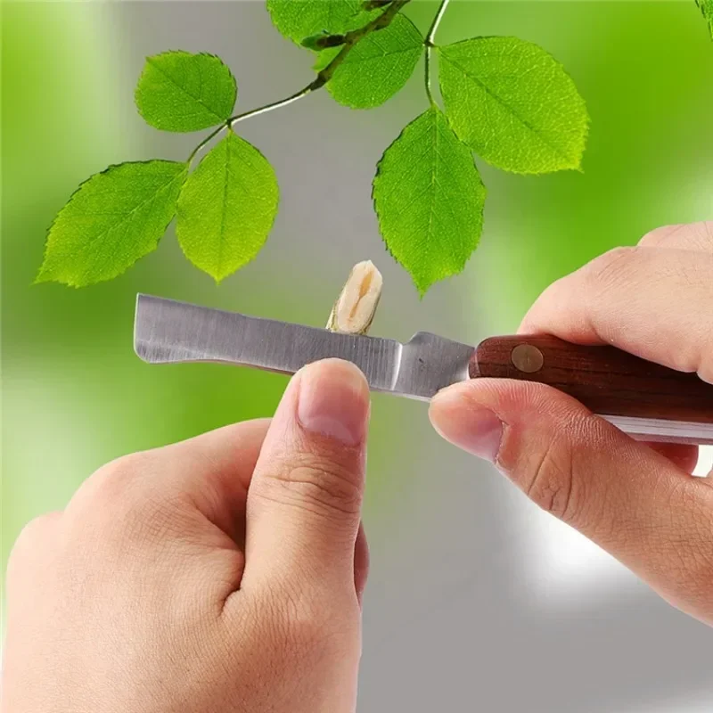 Stainless Steel Folding Grafting Knife for Garden Grafting Fruit Tree Bud Pruning garden tools,grafting knife,folding grafting knife