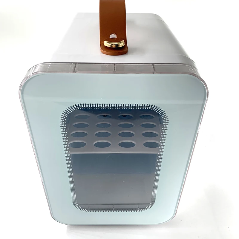 Home & Car Dual Refrigerator Mini Cosmetic Skincare Makeup Cooler Warmer Multifunctional Cooling Box 220V 110V 12V