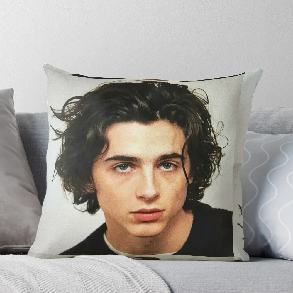

Timothee Chalamet Throw Pillow luxury sofa pillows bed pillows Rectangular Cushion Cover Cushion Cover Set
