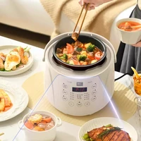 LIVEN 220V 701W 2.5L 0 autocuiseur électrique à revêtement, double pot petit autocuiseur multifonctionnel domestique cuiseur à riz 5