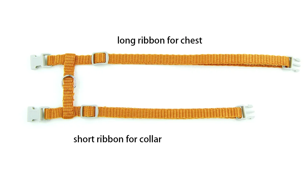 Title 2, Cat Dog Collar Harness Leash Adjustable Nylon P...