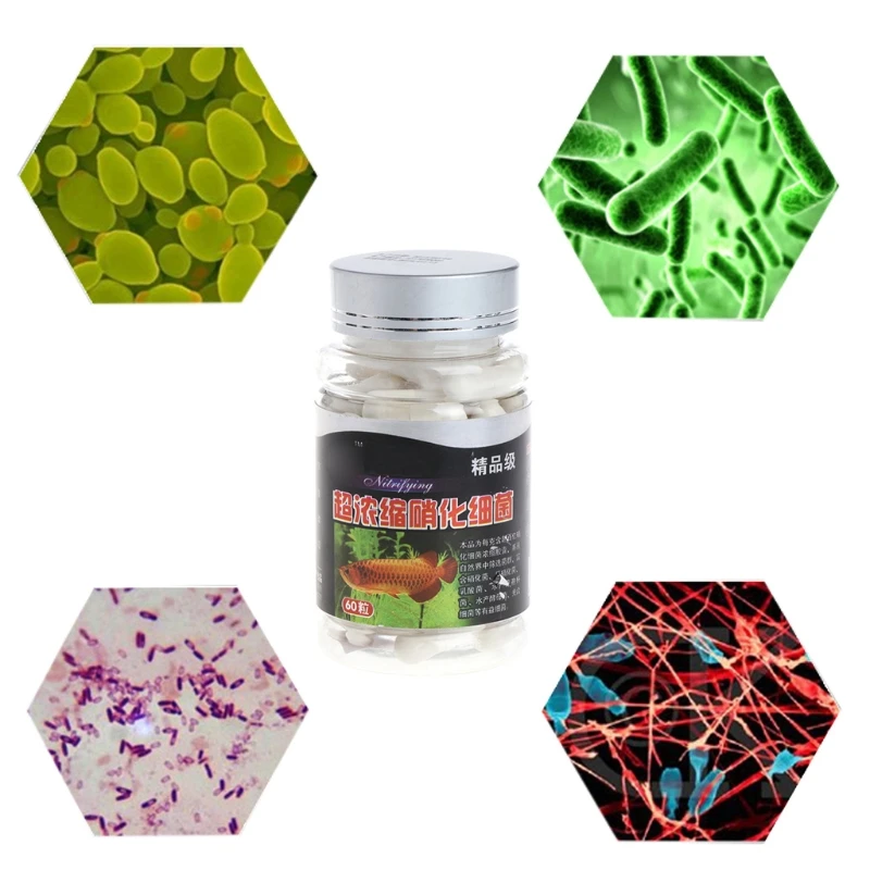 

60 Pcs Nitrifying Bacterias Capsules for Freshwater and Marine Water Fish for Tank Aquarium Concentrated Dry Powder