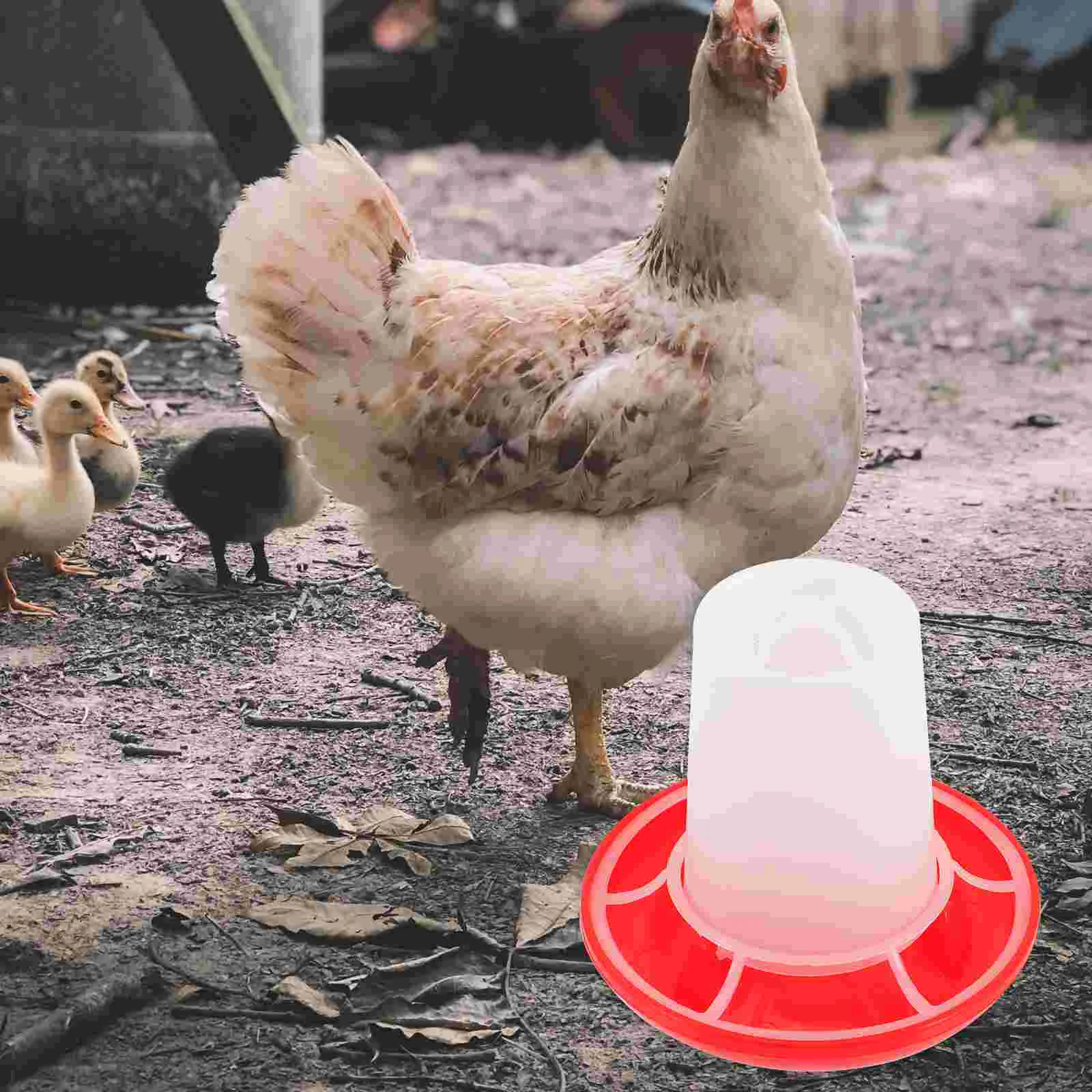 4 Pcs Chick Feeder and Waterer Kit Automatic Chicken Tools Ducks Baby Food Container Hen