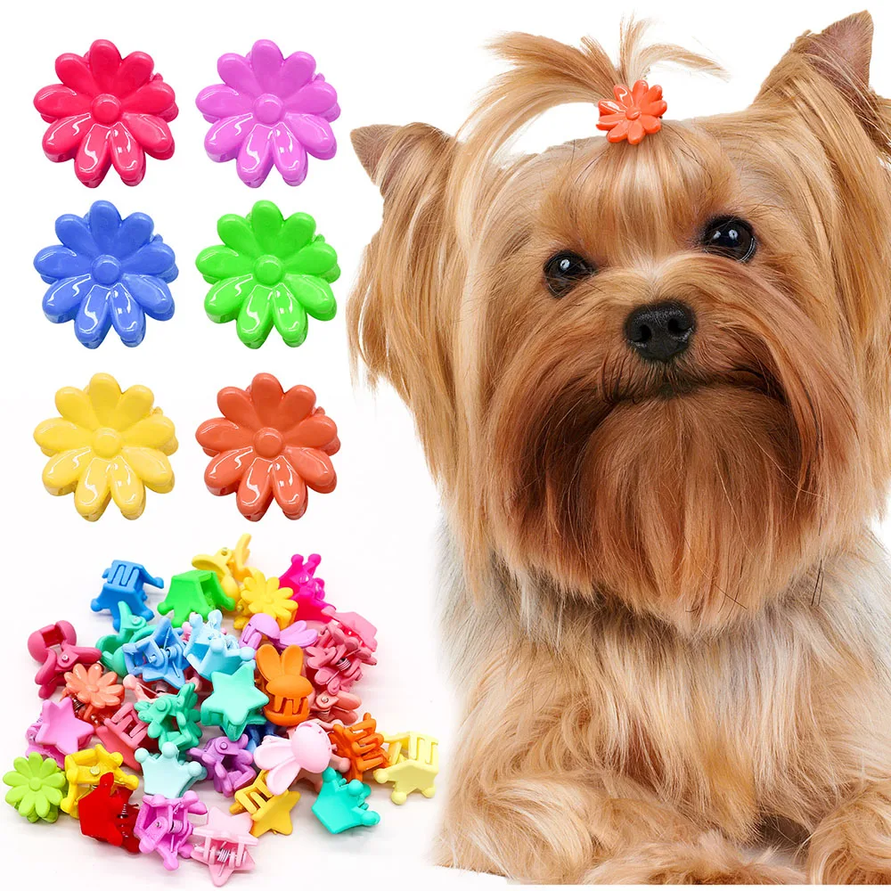 200PCS Small Dog Cat Hairpin Mini Colourful Crown Hair Clips For Dogs Pets Fashion Headwear Hair