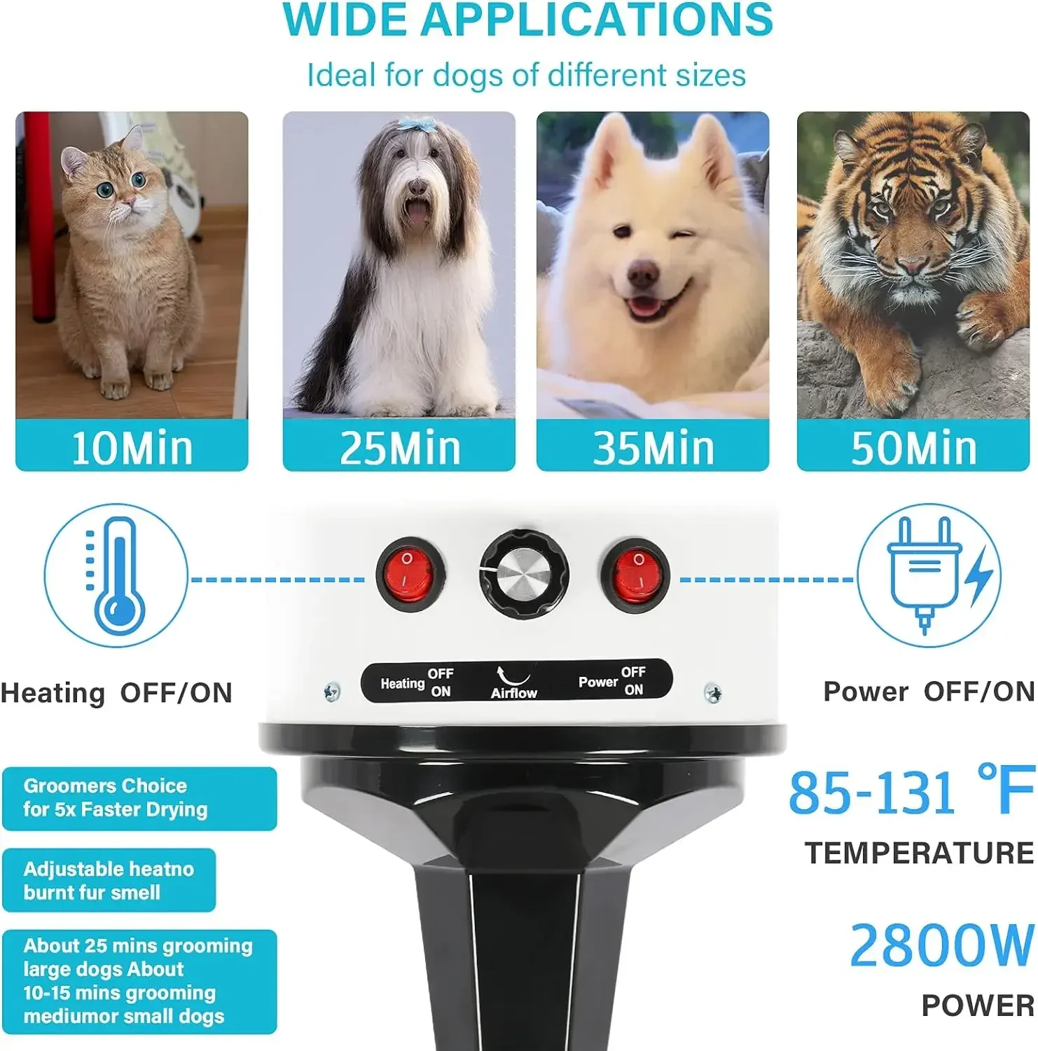 Pet Hair Dryer 2800W Hair Dryer for Dogs Pet Grooming Blower Warm Wind Secador Fast Silent Pet Dryer Drying Machine Stepless Speed Regulation