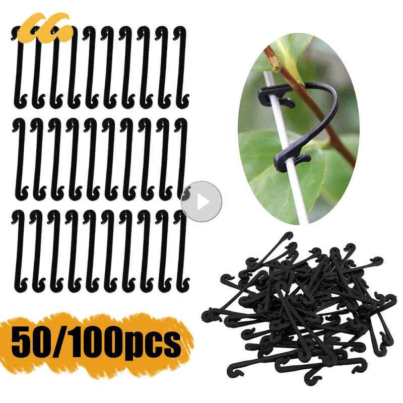 Attache Plante En Nylon - Ceps De Vigne Naturellement Respectueux