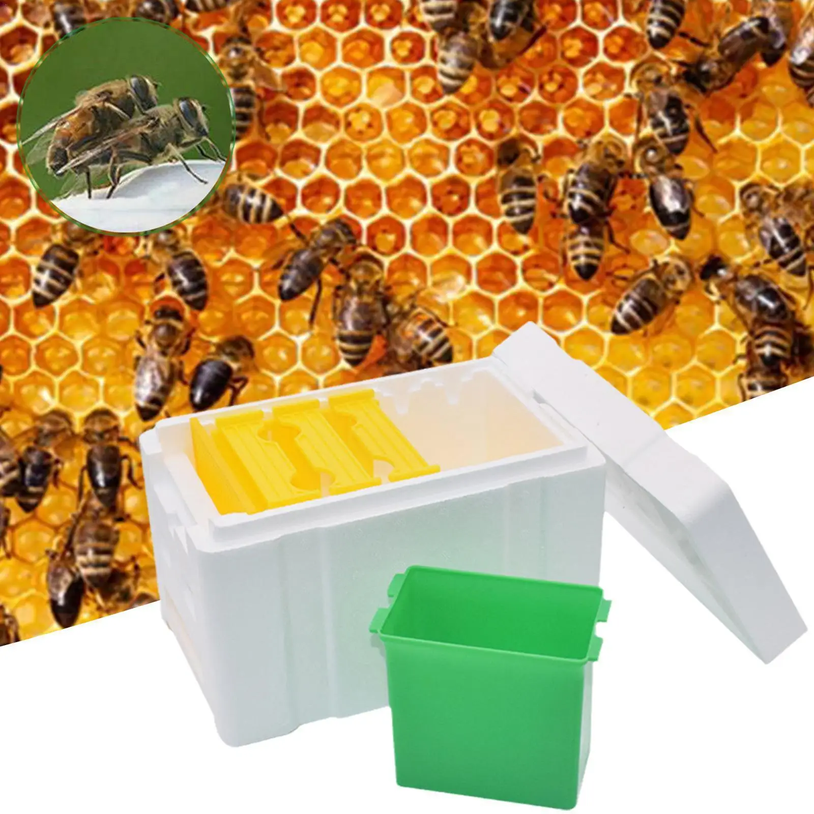 

Beekeeping Tools Queen Bee Rearing Mating Beehive Beekeeping Foam Box Breeding Foam Box Pollination Bee Box Pollination Too U3E7