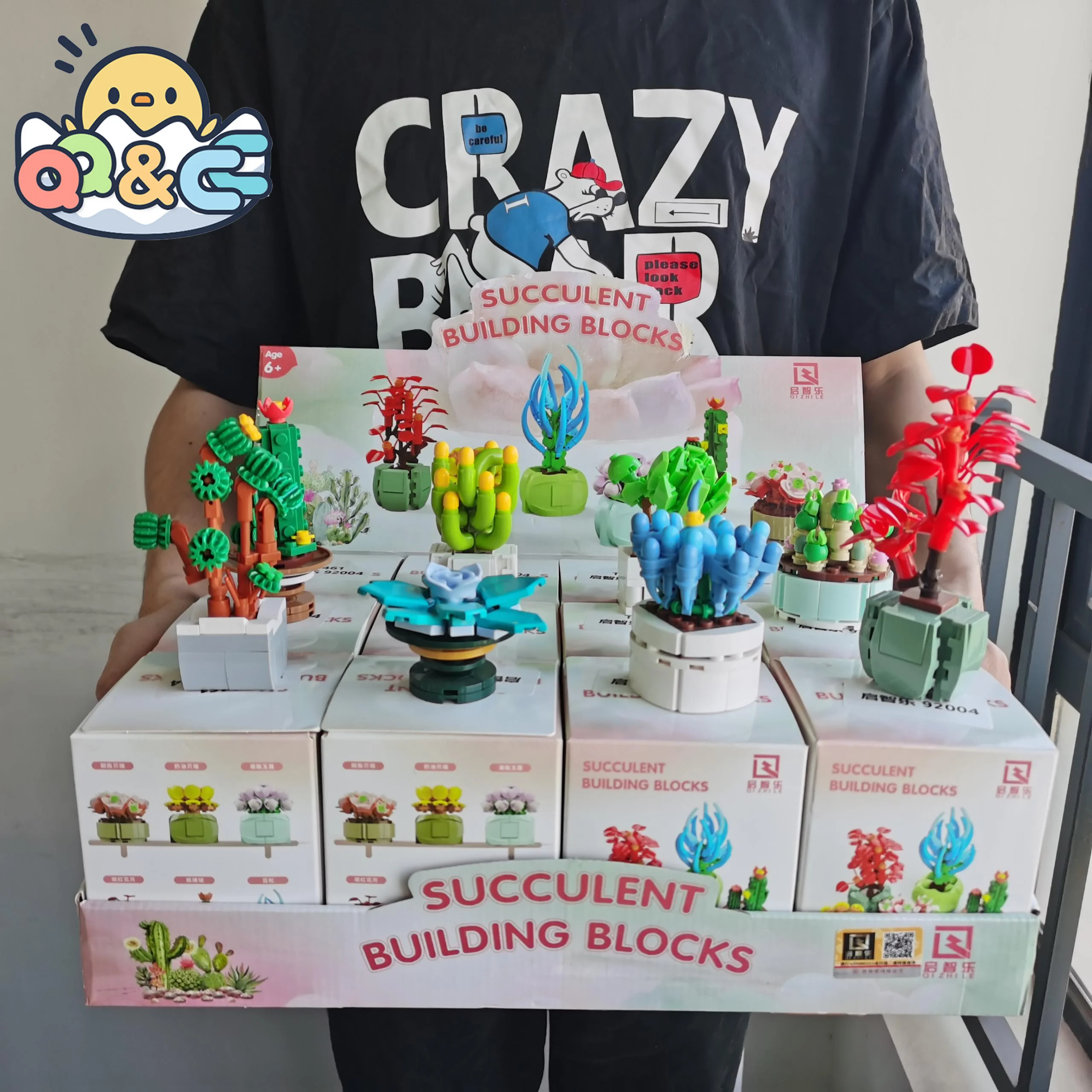 Mini Brick Building Blocks Flower Succulents Plant DIY Toys
