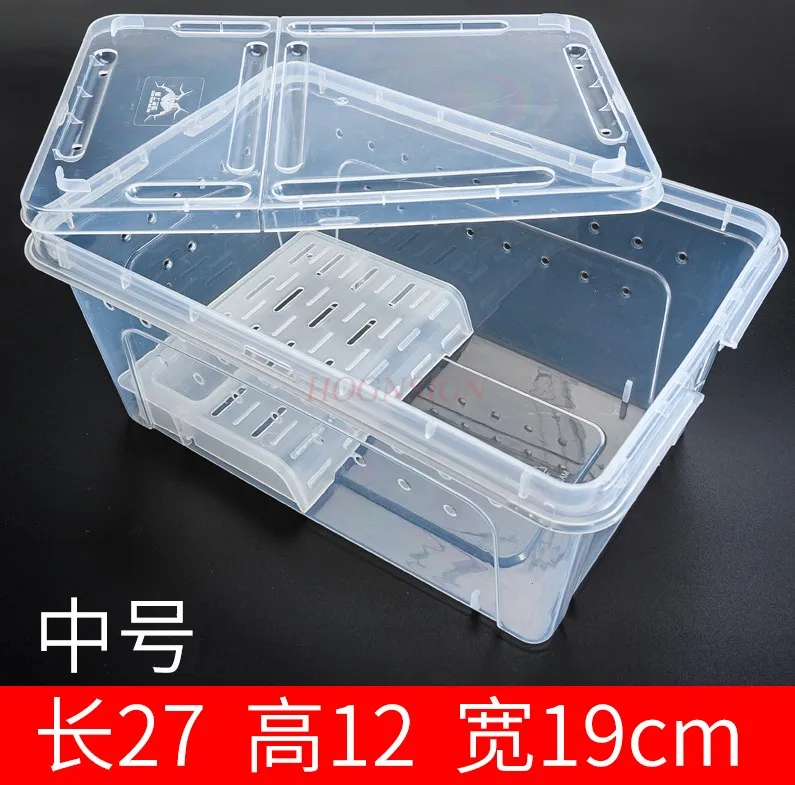 

Horn frog breeding box pet snake spider scorpion centipede guarding palace snail insect turtle tank