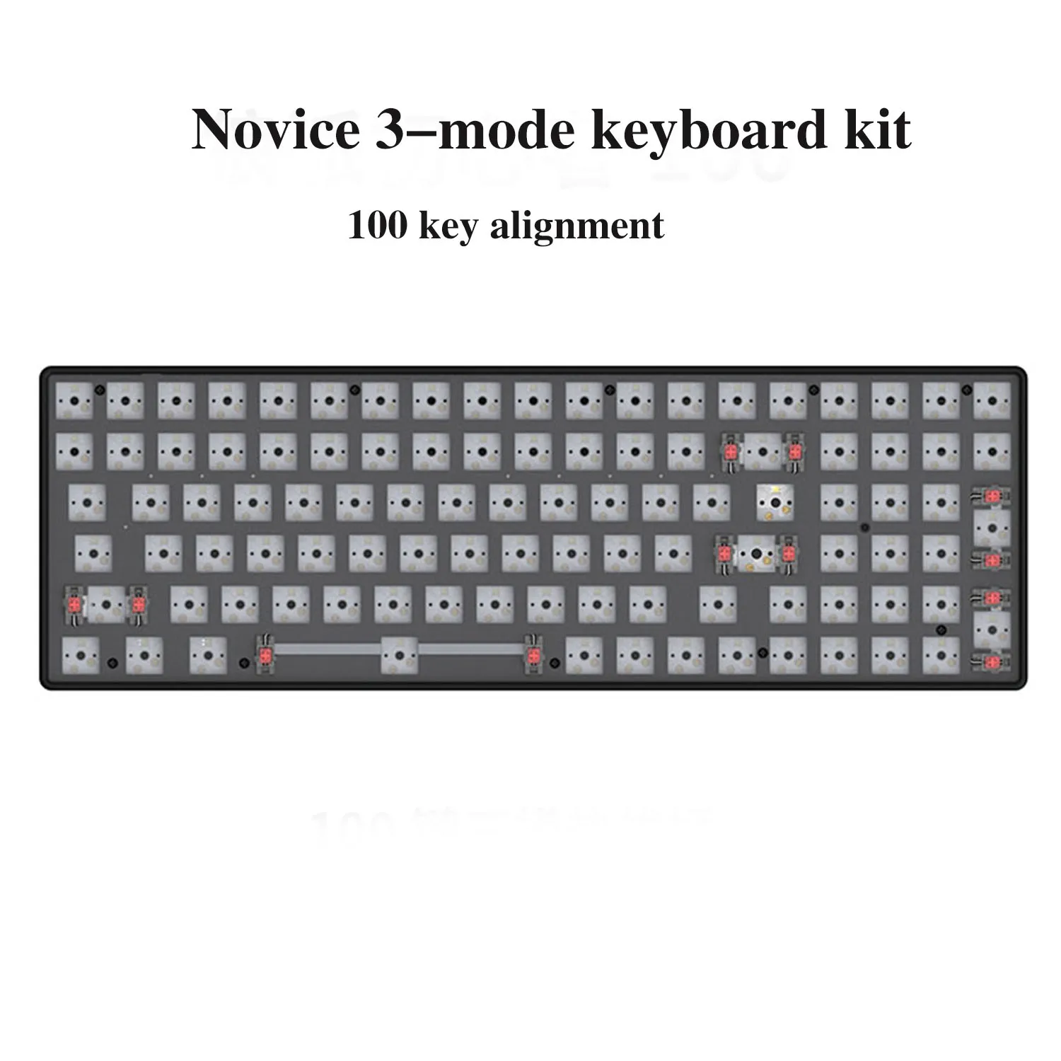 CIY Novice 100