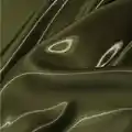 Dark Olive