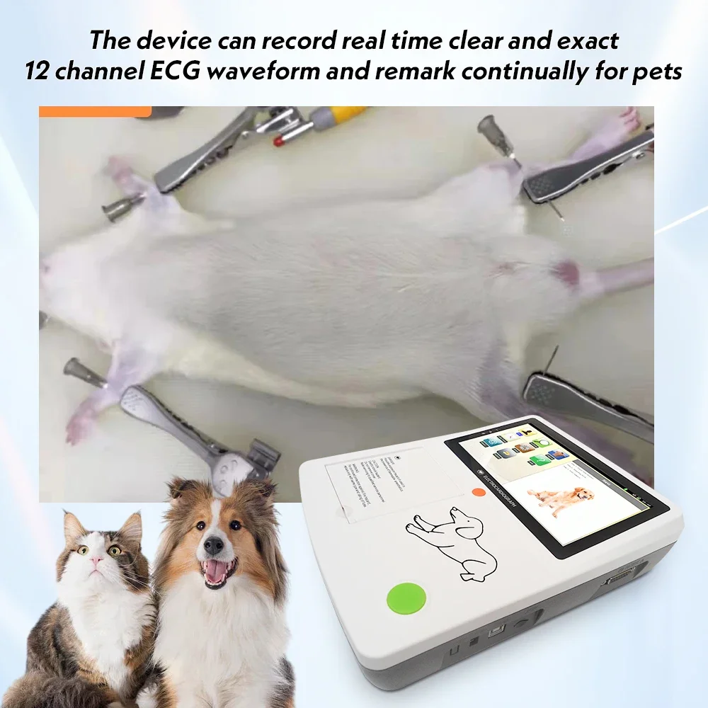 Veterinary ECG Machine 3/6channel Touch Screen Veterinary Electrocardiograph 7"