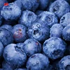 Automatic Bubble Washing Machine Jujube Blueberry Bubble Spray Fruit Washing Machine Citrus Orange Cleaning Equipment 3
