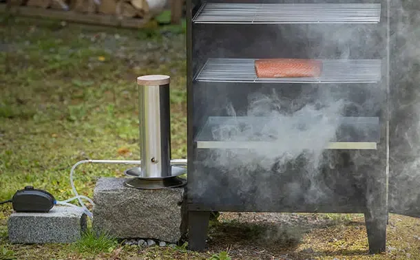 Générateur de fumée froide, plaque de fumage chaude et froide en poussière  de bois, filet de