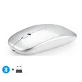 Sliver