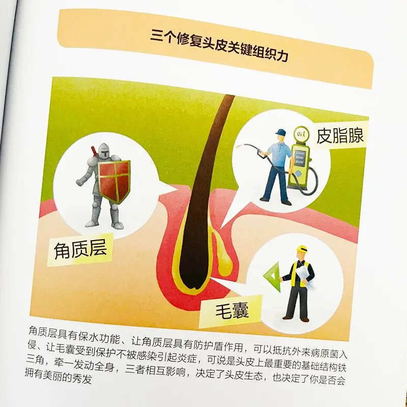 Рисунок 5 - Книги по уходу за здоровьем и генерации волос