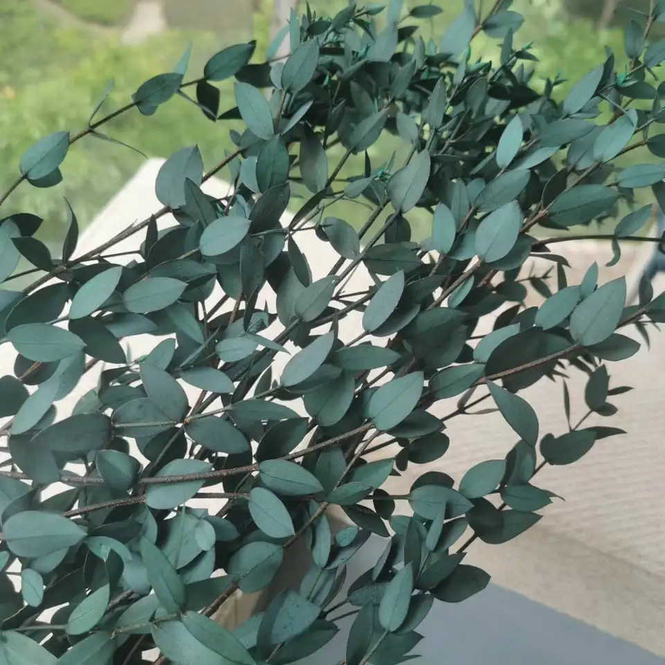 Bouquet D'Eucalyptus Séché Rouge - Branches Naturelles 43 Cm Pour Décoration Intérieure Bohème