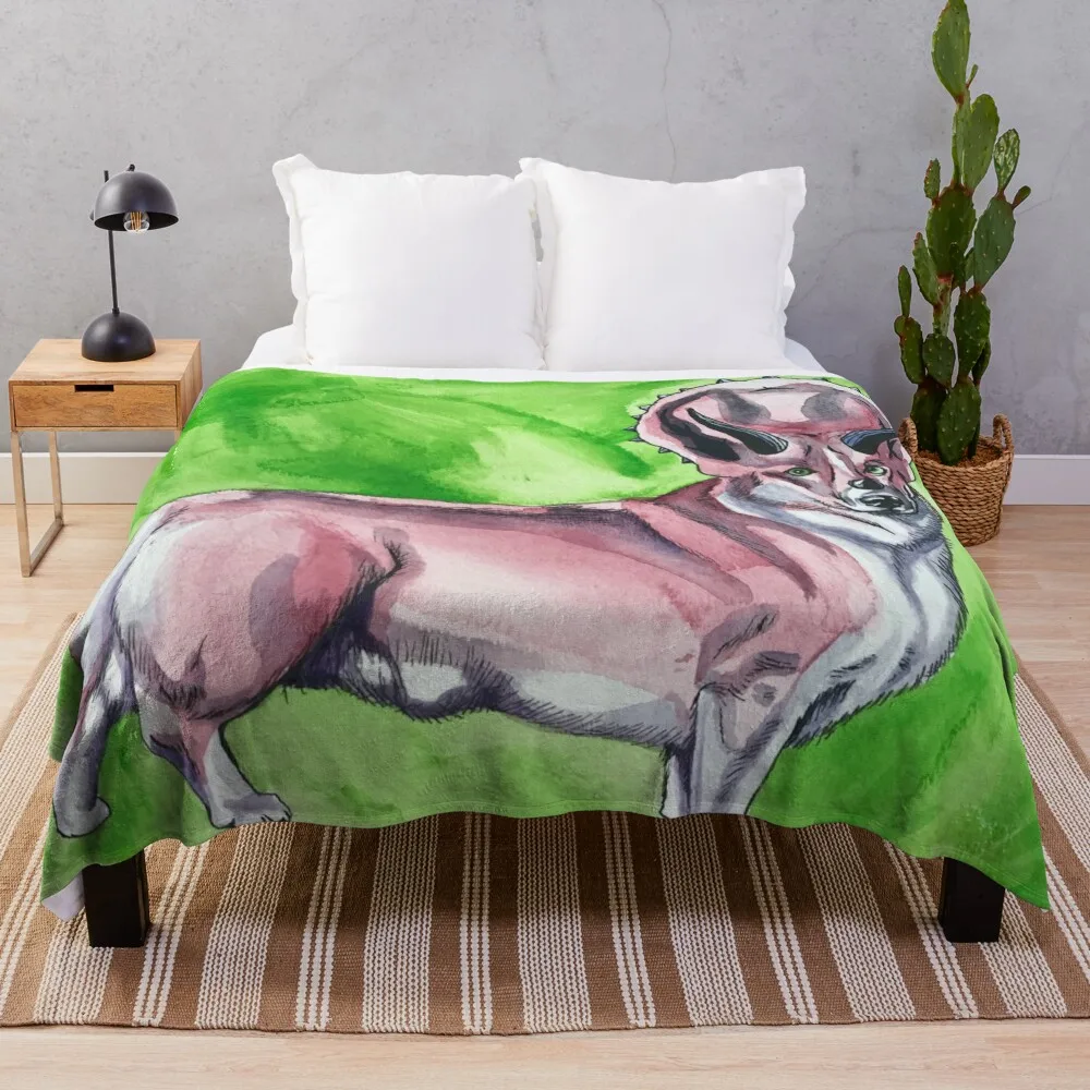 

Плед Triceratops Corgi, туристическое одеяло для пикника, мягкие большие одеяла