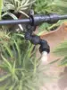 Rainforest Terrariums Humidifier Sprinkler Garden Irrigation Reptile Spray Watering Equipment 5