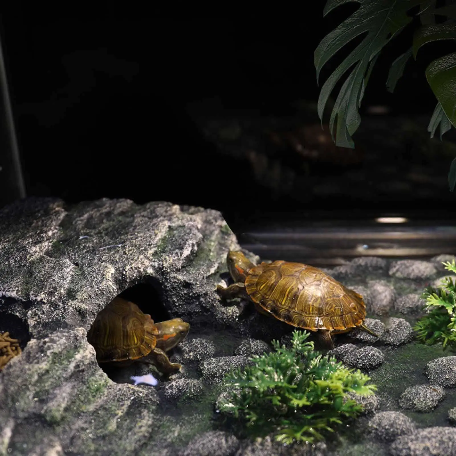 Turtle Basking Platform Climbing Ramp Resin Ornament Reptiles Dock for Bearded Turtle Basking Platform Climbing Ramp Resin Ornament Reptiles Dock for Bearded