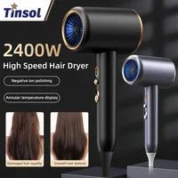 Professional Hair Dryer Hot Cold Wind Air Brush Hairdryer Negative Lonic Blow Dryer Strong PowerDryer Salon Tool 2400W 3th Gear 1